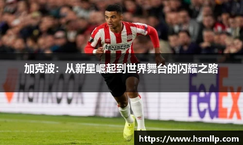 加克波：从新星崛起到世界舞台的闪耀之路